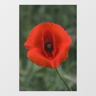 Window Cling - Poppy Floral Nature Photography