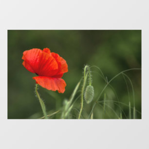 Window Cling - Poppy Flower - Solitary Grace