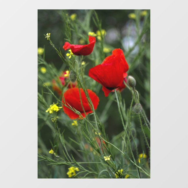  Window Cling - Red Poppies Photography  (Sheet)