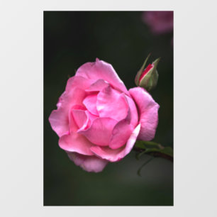 Window Cling - Rose Floral Nature Photography