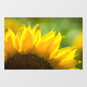 Window Cling - Sunflower Photography