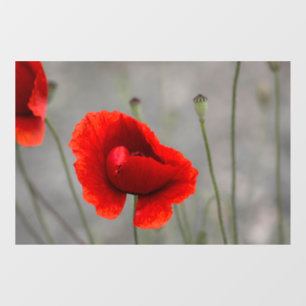 Window Cling - The Red Poppy