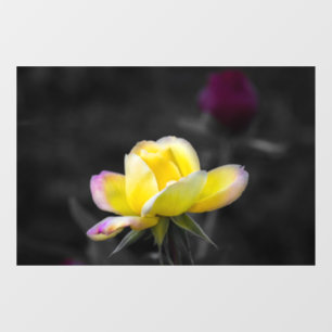 Window Cling - Yellow Rose Photography