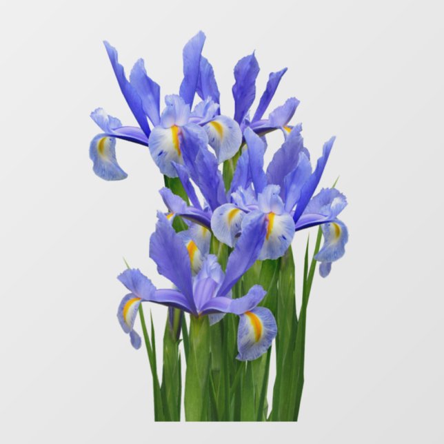 Window Decal 2 - Front Cling - choose size (Sheet)