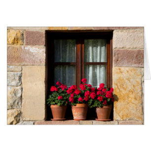 Window flower pots in village
