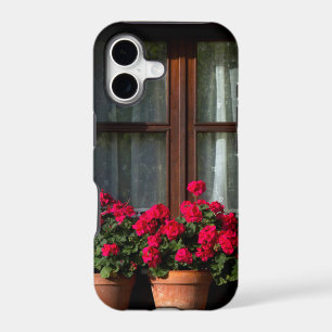 Window flower pots in village