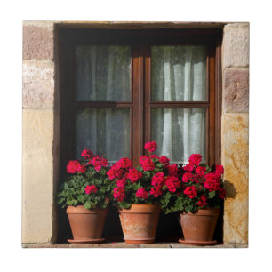 Window flower pots in village ceramic tile