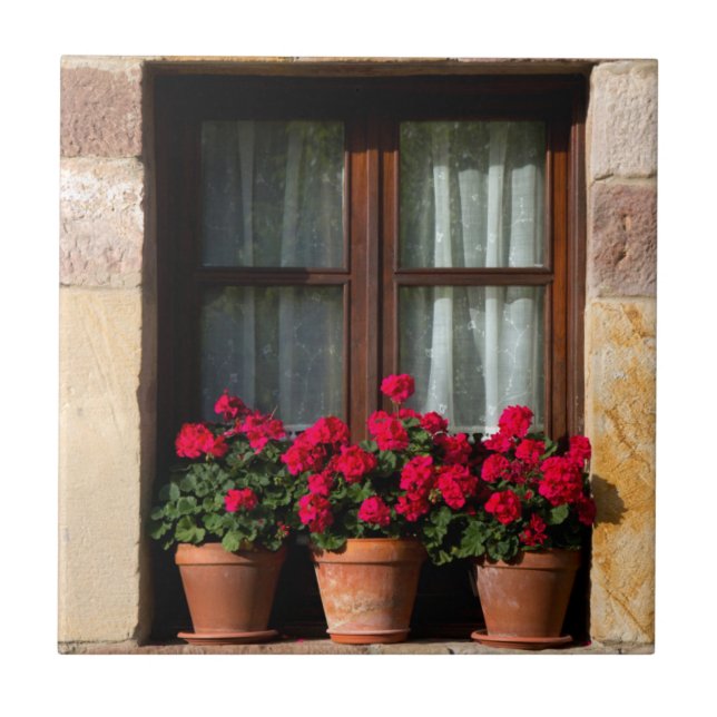 Window flower pots in village ceramic tile (Front)