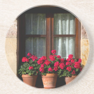 Window flower pots in village coaster