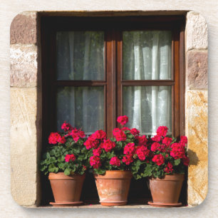 Window flower pots in village coaster
