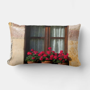 Window flower pots in village lumbar cushion