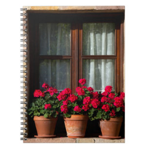 Window flower pots in village notebook