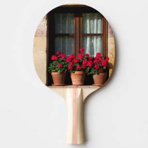 Window flower pots in village ping pong paddle