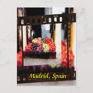 Window Fruit Market - Madrid, Spain Postcard