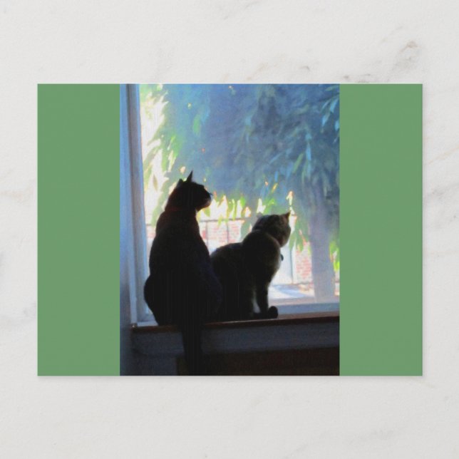 Window Gazing Kitties Postcard (Front)