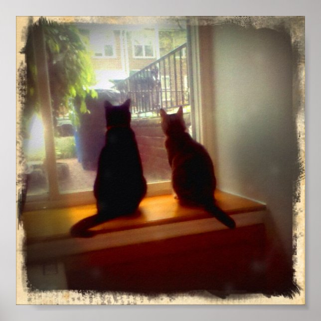 Window Gazing Kitties Poster (Front)