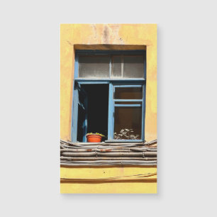 Window in Saint-Petersburg