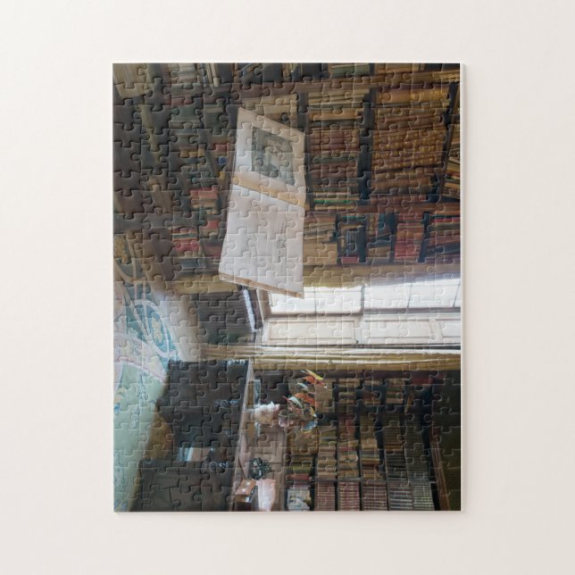Window in the library jigsaw puzzle (Vertical)