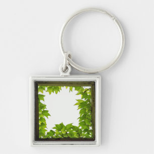Window Keychain