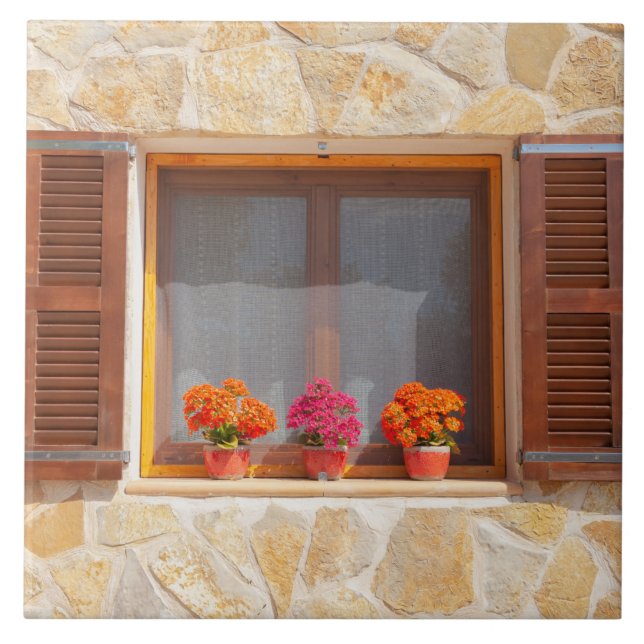 Window of a spanish Finca Ceramic Tile (Front)
