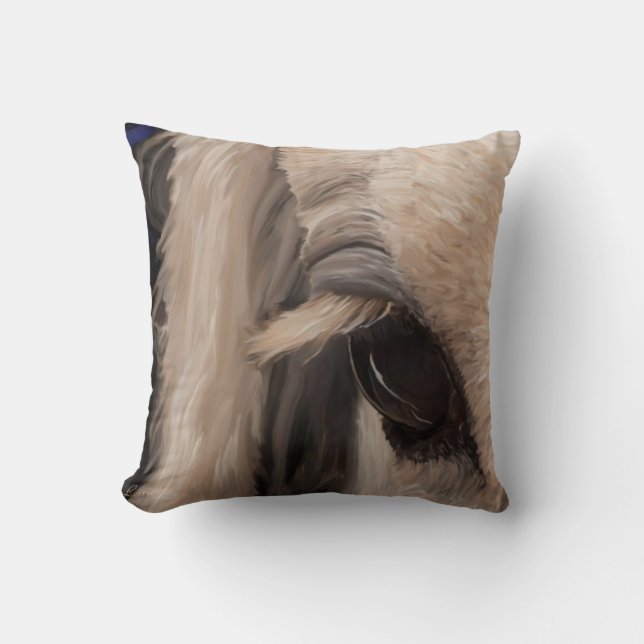 Window of the soul cushion (Front)