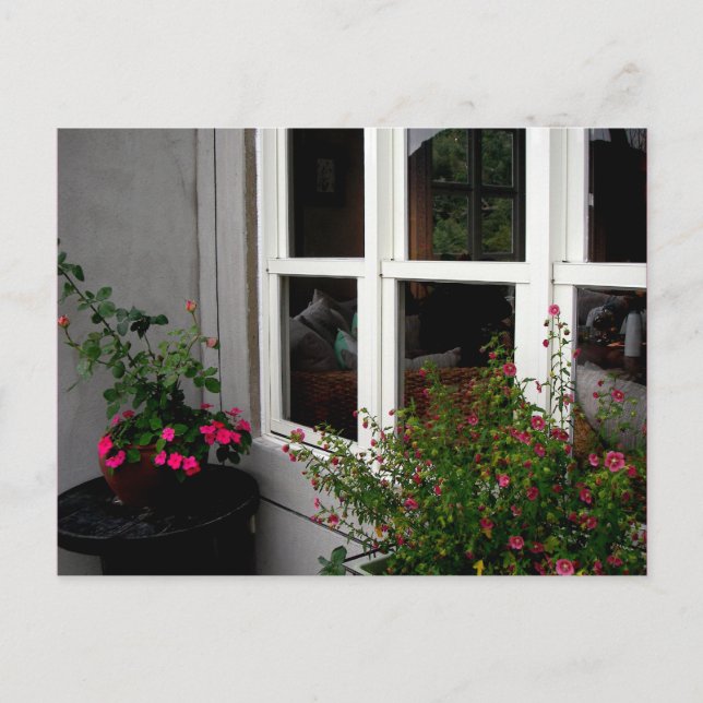 Window/ Postcard (Front)