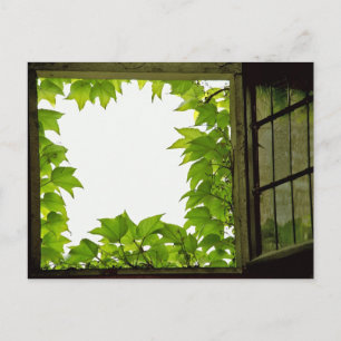 Window Postcard