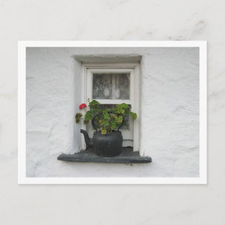 Window pot postcard