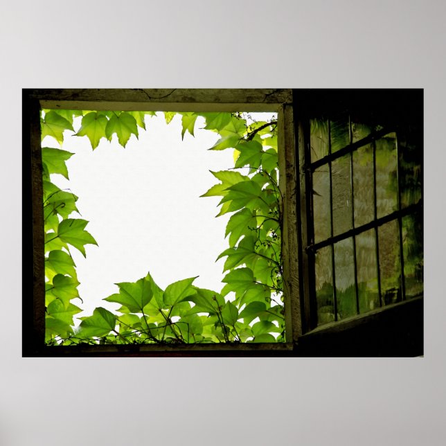 Window Print (Front)