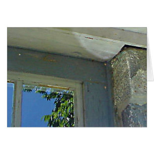 Window reflection