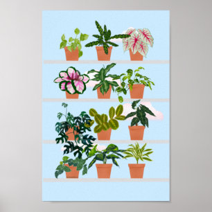 Window Shelves with House Plants Poster