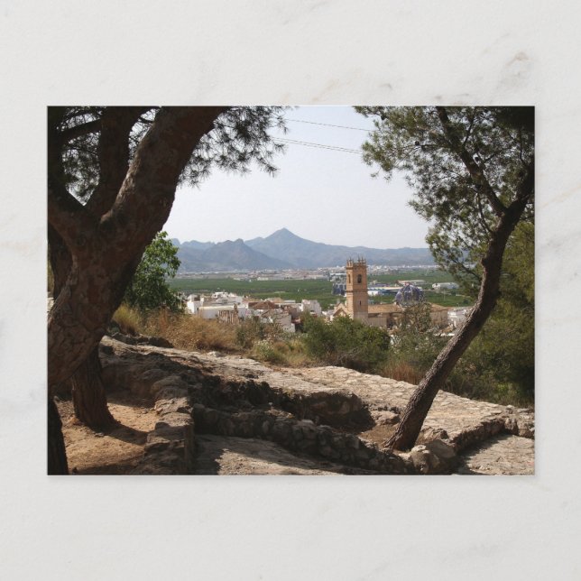 Window through the trees. postcard (Front)