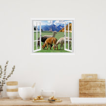 Window View With Mountains And Alpaca