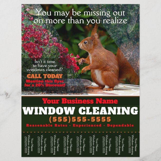 Window Washing Cleaning Business Tearsheet Flyer (Front)