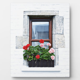 window with red flowers on white wall plaque