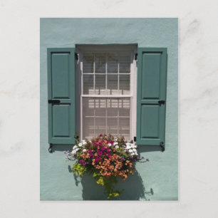 Window with turquoise shutters and window box postcard