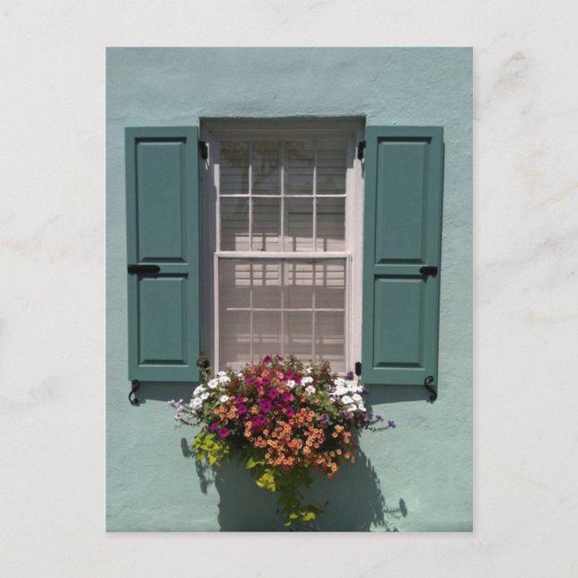 Window with turquoise shutters and  window box postcard (Front)
