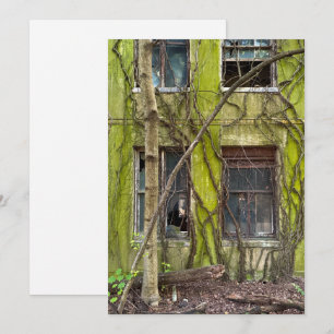 Windows and Vines Holiday Card