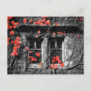 Windows Framed with Autumn Leaves Postcard