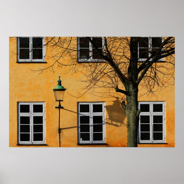 Windows Poster (Front)