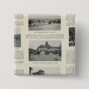 Windsor, California 15 Cm Square Badge