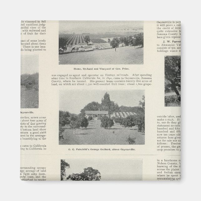 Windsor, California Magnet (Front)