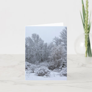 Windsor Winter White Christmas Holiday Card