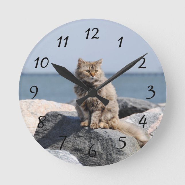 Windswept Cat Round Clock (Front)