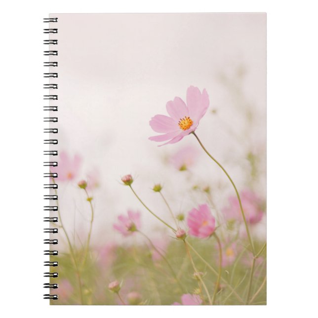 WINDY DAY NOTEBOOK (Front)