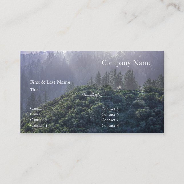 Windy Hill 12 Business Card (Front)