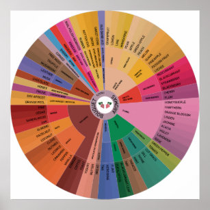 Wine Aroma Wheel Poster