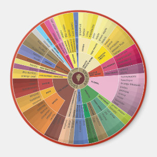 Wine Aromas Wheel Magnet