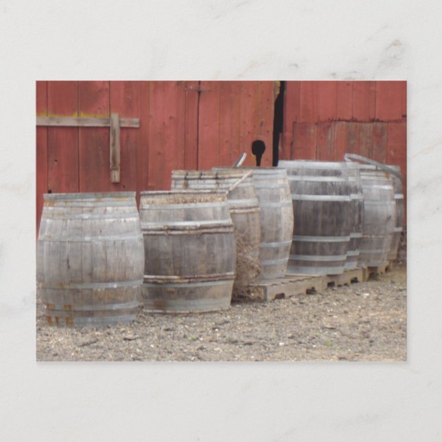 Wine Barrels Postcard (Front)