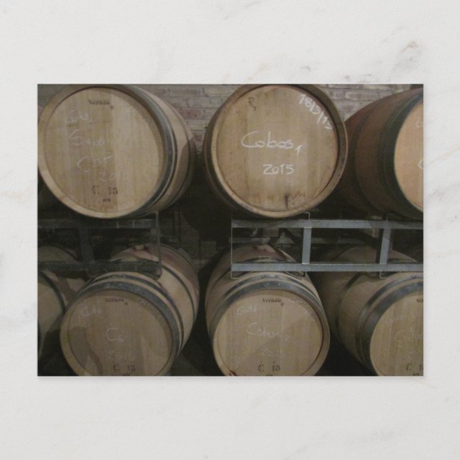wine barrels postcard (Front)